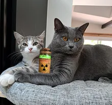 Tess & Clem